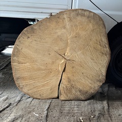 切株 テーブルなどにの画像