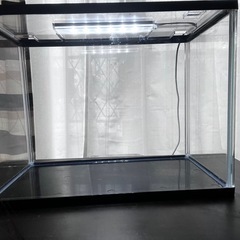 30cm水槽2個セット＋ライト＋エアポンプ＋ヒーターの画像