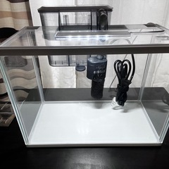 30cm水槽2個セット＋ライト＋エアポンプ＋ヒーターの画像