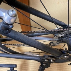 ルイガノの画像