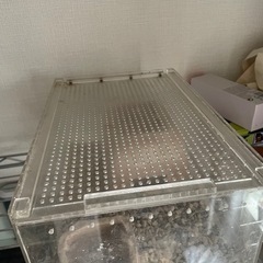 爬虫類ゲージセット
の画像