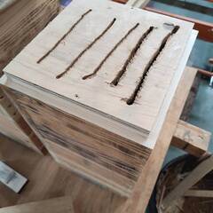 日本ミツバチ　巣箱の画像