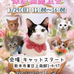 ☘️猫カフェみたいな😽ふれあい譲渡会開催💫