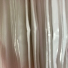 大量！ お手拭き 使い捨てタイプの画像