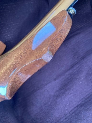Edwards forest shape guitar
