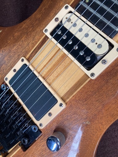 Edwards forest shape guitar