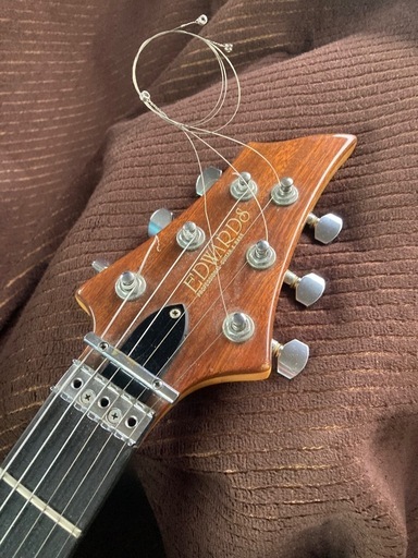 Edwards forest shape guitar
