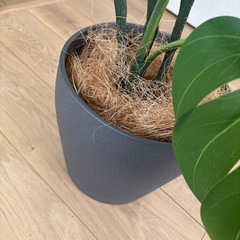 フェイクグリーン　モンステラ　人工観葉植物　　の画像