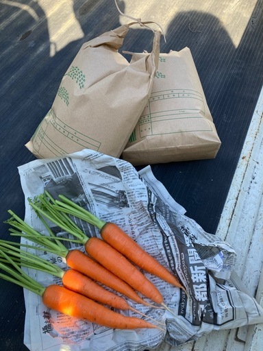 新米！有機栽培！ヒノヒカリ 10kg  