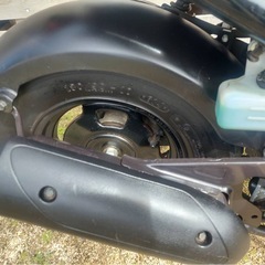 ☆ ★ ズーマー ★ ☆の画像