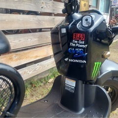 ☆ ★ ズーマー ★ ☆の画像