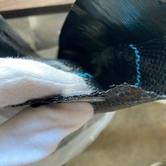 防草シート【長さ150m】未使用⭐️訳あり
【約1m×150m】 薄手 雑草防止 農業 庭 の画像