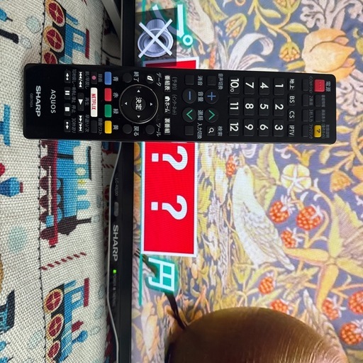 40型テレビ　