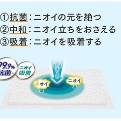 ニャンとも清潔トイレ 脱臭・抗菌シート 4枚の画像