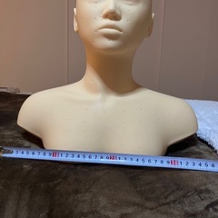 上半身マネキンの画像