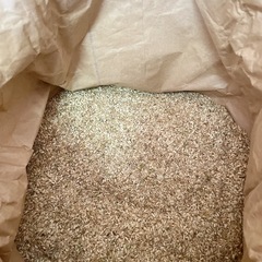 「だご米」「規格外の小粒」令和7年10月の新米35Kg2袋の画像