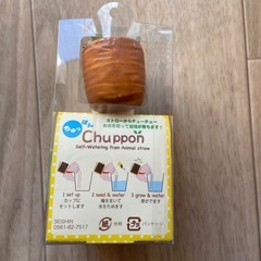 お譲りします　バジルの画像