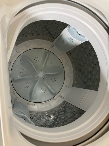 東芝洗濯機　7キロ　2025年製