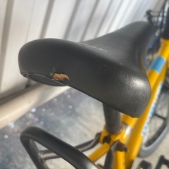 自転車　DUALLYの画像