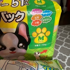 犬用おむつの画像