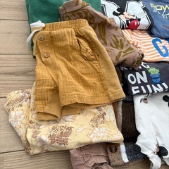 お譲り先決まりましたの画像