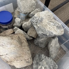 トロ舟とおまけの画像