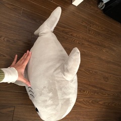 サメスツール椅子の画像