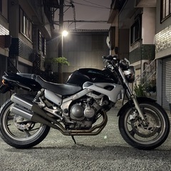 ジール250の画像