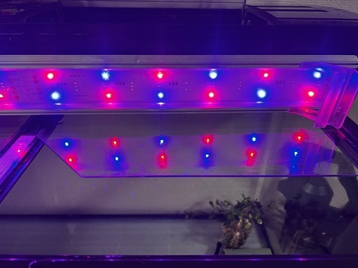 90cm大型水槽 ＋ 鉄製専用スタンド ＋ 生体・用品一式
