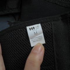 腰痛ベルトの画像