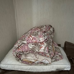 不用品です。の画像