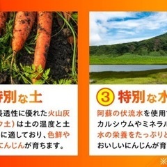 『訳あり』菊陽産にんじん🥕の画像