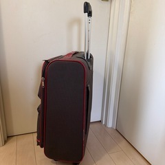 キャリーバッグの画像