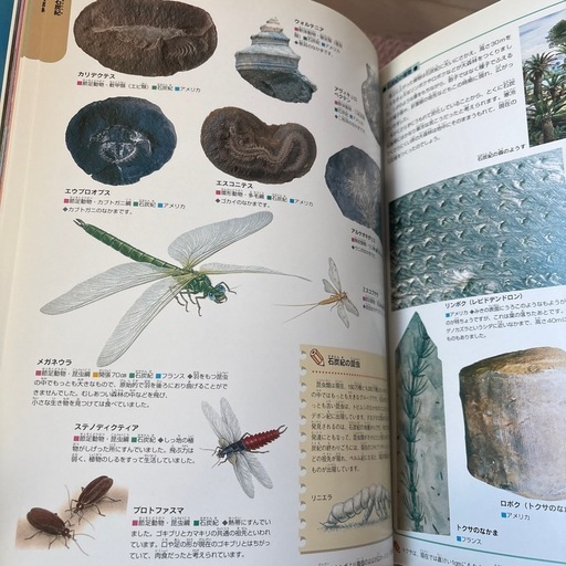 学研の図鑑