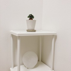 【IKEA】収納棚の画像