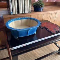 盆栽セットの画像