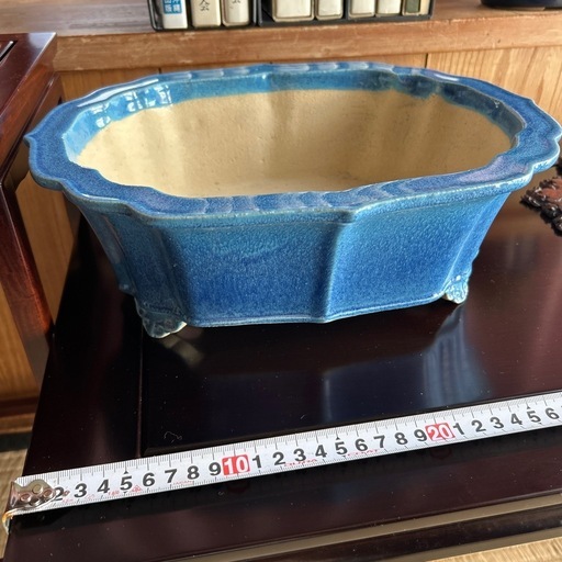 盆栽セット