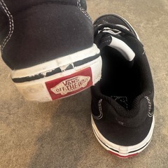 【キッズスニーカー】VANS22.0cmの画像