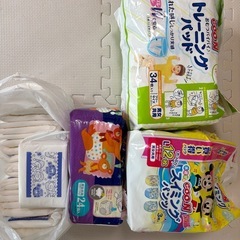 スイミングパンツ､トレーニングパットの画像