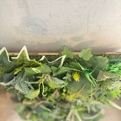 【観葉植物】フェイクグリーンE(ウォールグリーン)光触媒/定価10,000円の画像