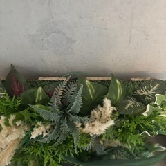 【観葉植物】フェイクグリーンH(ウォールグリーン)光触媒/定価10,000円の画像