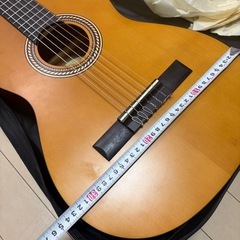 クラシックギターの画像