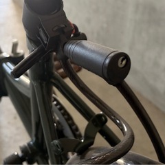 PROVROS 折りたたみ自転車　グリーンの画像