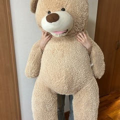 くまのぬいぐるみ　　
の画像