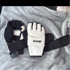 ISAMI フィンガーレス防具グローブ　M sizeの画像