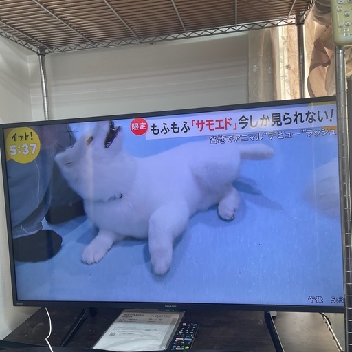 Y 液晶カラーテレビ　42型　SHARP シャープ　2022年製　2T-C42BE1 リモコン付　