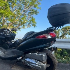 マジェスティの画像