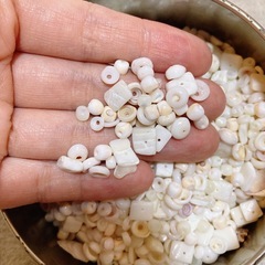 ハンドメイド　貝殻ビーズの画像