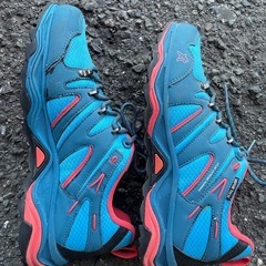 スニーカー　25cmもしくは25.5cmの画像