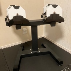 アイロテック　可変式ダンベル2kg〜20kg スタンド付の画像